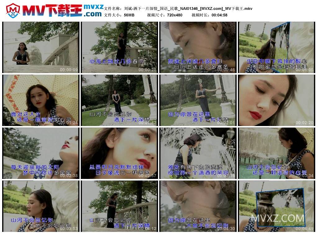 刘斌-洒下一片深情_国语_民歌_NAI01346